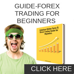 How To Work Online In Zimbabwe Kudaonline - guide forex trading for beginners